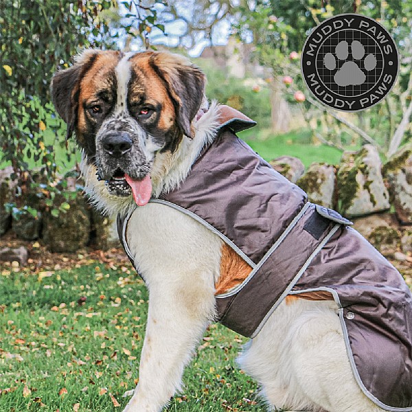 Muddy paws dog best sale jumpers