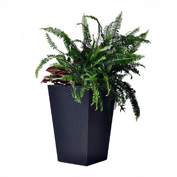 Stewart Garden Rattan Planter (Various Sizes)