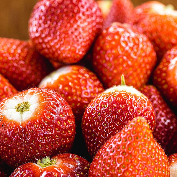 Fragaria (Strawberry) 'Albion'