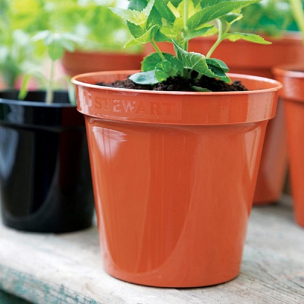Terracotta Premium Flower Pot - Various Sizes