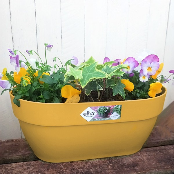 Elho Vibia Campana Wall Basket 35cm (Various Colours)