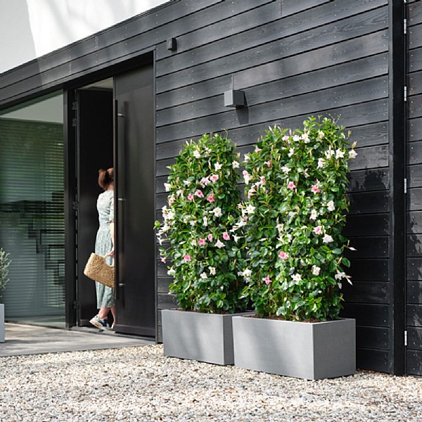 Elho Vivo 90cm Structure Finish Long Planter With Wheels (Various Colours)