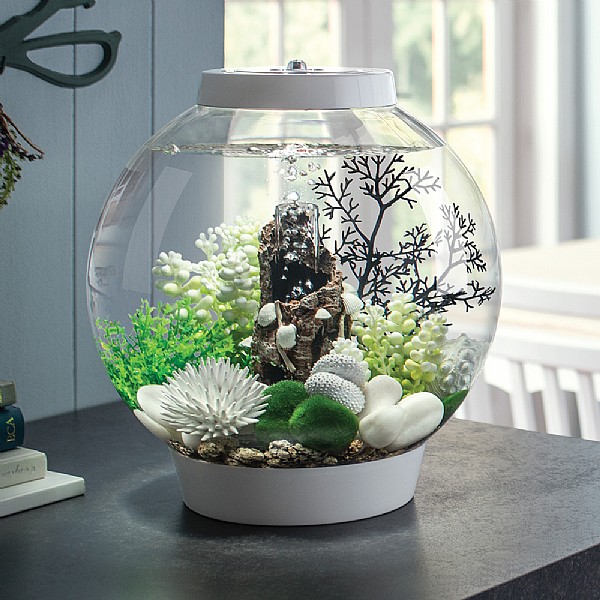 biOrb CLASSIC 15 Aquarium with MCR LED
