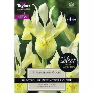 Iris Katharines Gold (9 Bulbs)