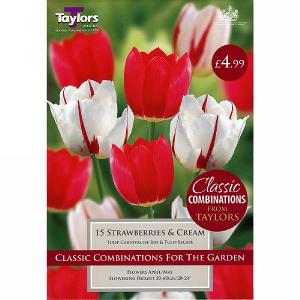 Strawberries & Cream Classic Combinations (15 Bulbs)