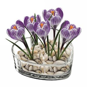 Indoor Glass Crocus Heart