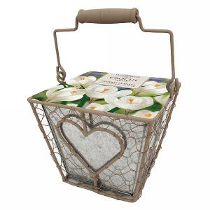 Crocus White Indoor Heart Square Planter