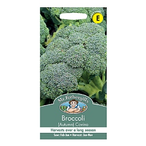 Mr Fothergills Broccoli (Autumn)  Covina Seeds