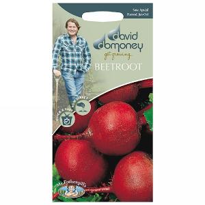 David Domoney Beetroot Solist Seeds