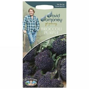 David Domoney Summer Purple Sprouting Broccoli Seeds