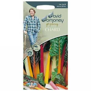 David Domoney Chard Bright Lights Seeds