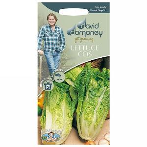 David Domoney Cos Tantan Lettuce Seeds
