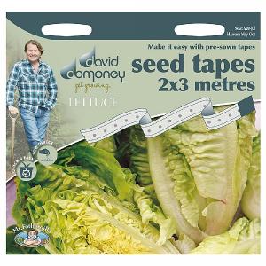 David Domoney Little Gem Lettuce Seed Tape