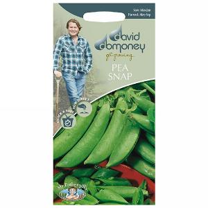 David Domoney Pea Snap Jessy Seeds