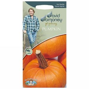 David Domoney Small Sugar Pumpkin Seeds