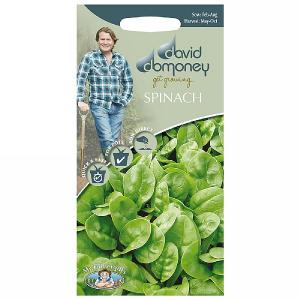 David Domoney Spinach Emilia F1 Seeds