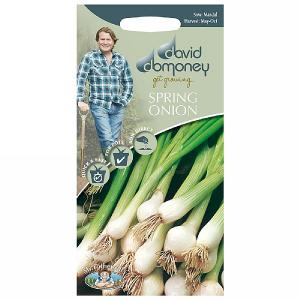 David Domoney Spring Onion White Lisbon Seeds
