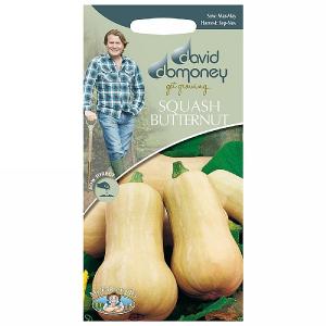 David Domoney Butternut Squash Hornet F1 Seeds
