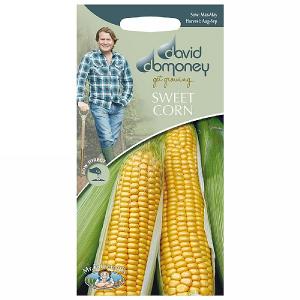 David Domoney Sweetcorn Swift F1 Seeds