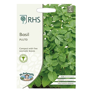 Vakantie Maori vitaliteit RHS Basil Pluto Seeds | Herb Seeds | Webbs Garden Centres