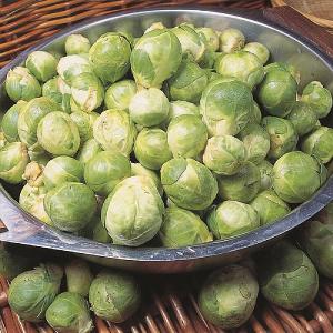 RHS Brussels Sprout Cascade F1 Seeds