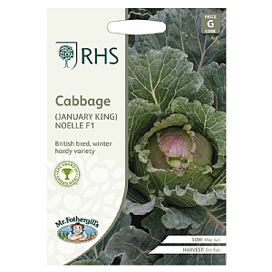 RHS Cabbage January King Noelle F1 Seeds