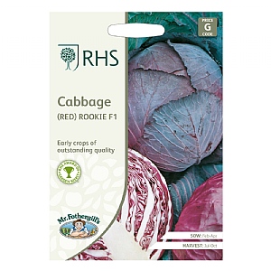 RHS Cabbage Red Rookie F1 Seeds