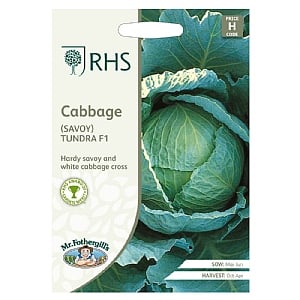 RHS Cabbage Savoy Tundra F1 Seeds