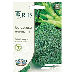 RHS Calabrese Marathon F1 Seeds