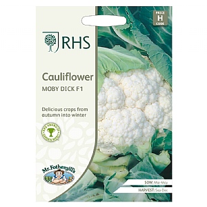 RHS Cauliflower Moby Dick F1 Seeds