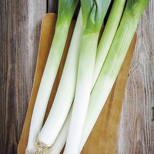RHS Leek Pancho Seeds