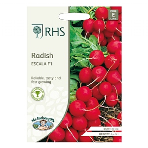 RHS Radish Escala F1 Seeds