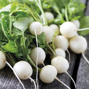RHS Radish Ping Pong Seeds