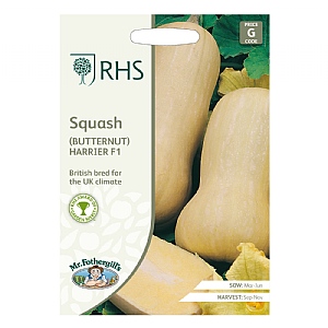 RHS Squash Butternut Harrier F1 Seeds