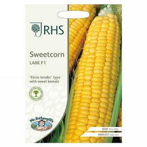 RHS Sweet Corn Lark F1 Seeds