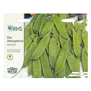 RHS Pea Mangetout Delikata Seeds