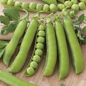 RHS Pea Early Onward Seeds