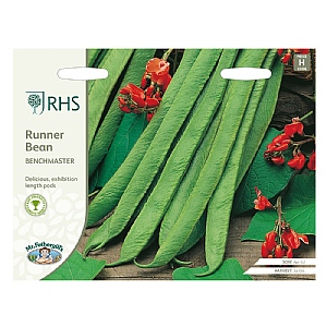 RHS Runner Bean Benchmaster Seeds