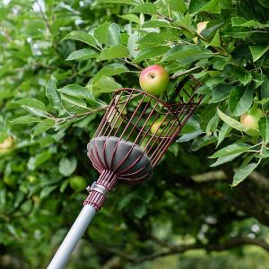 Kent & Stowe Telescopic Fruit Picker