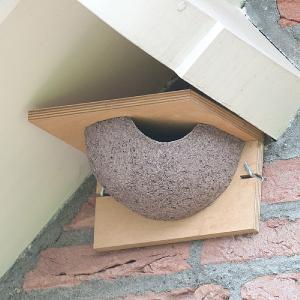 CJ Wildlife House Martin Single Right Nest