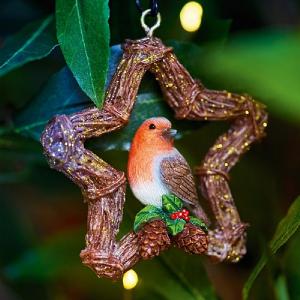Vivid Arts Hanging Robin Rattan Star
