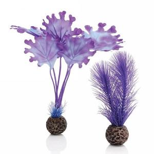biOrb Purple Kelp Set Small