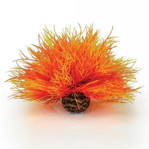 biOrb Flame Aquatic Sea Lily