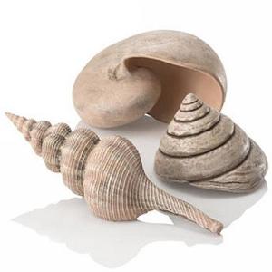 biOrb Natural Sea Shells Set