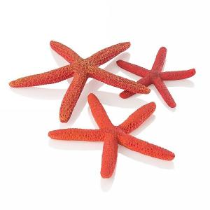 biOrb Red Starfish Set