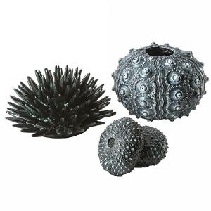 biOrb Black Sea Urchins Set