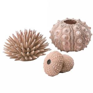 biOrb Natural Sea Urchins Set