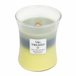 Woodwick Woodland Shade Medium Trilogy Candle