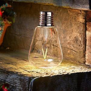 Smart Solar Eureka! Edison LED Solar Lightbulb