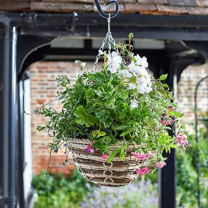 Smart Garden Corn Rope Hanging Basket - 12''